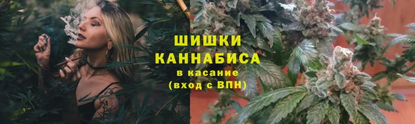2c-b Кукмор