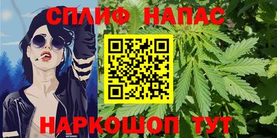индика Моздок