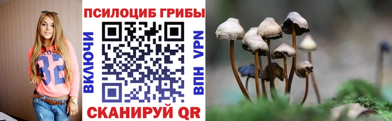 даркнет сайт  Усть-Лабинск  Псилоцибиновые грибы Psilocybine cubensis 