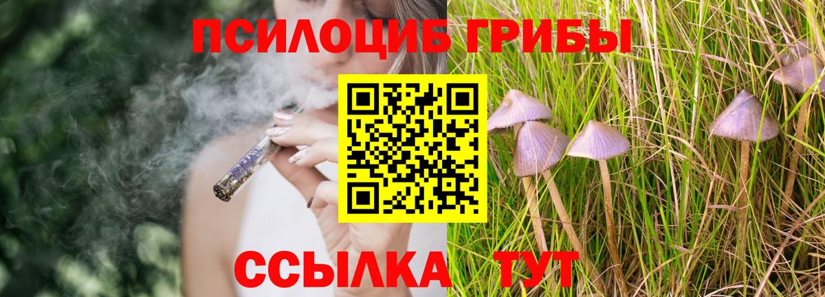 Галлюциногенные грибы Cubensis  Псилоцибиновые грибы Cubensis  Усть-Лабинск  Вход с VPN 